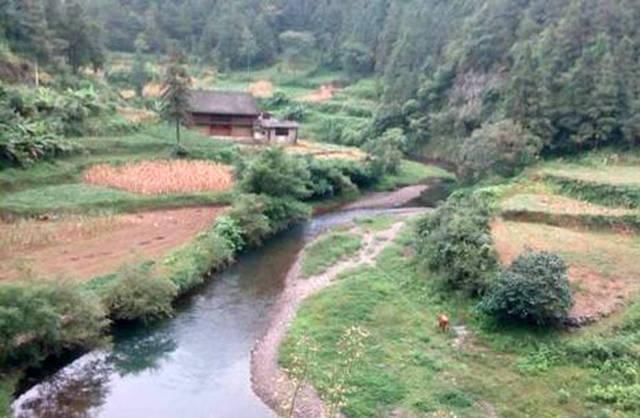 打工仔回到家乡,再钓一次故乡河里的小鱼