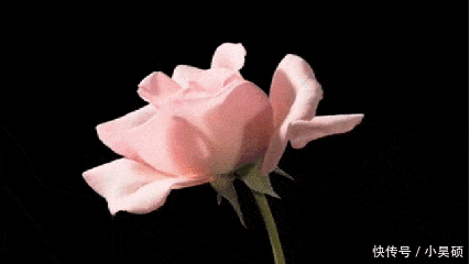 有个|有个会服软的男朋友,也太幸福了吧!又想骗我谈恋爱!