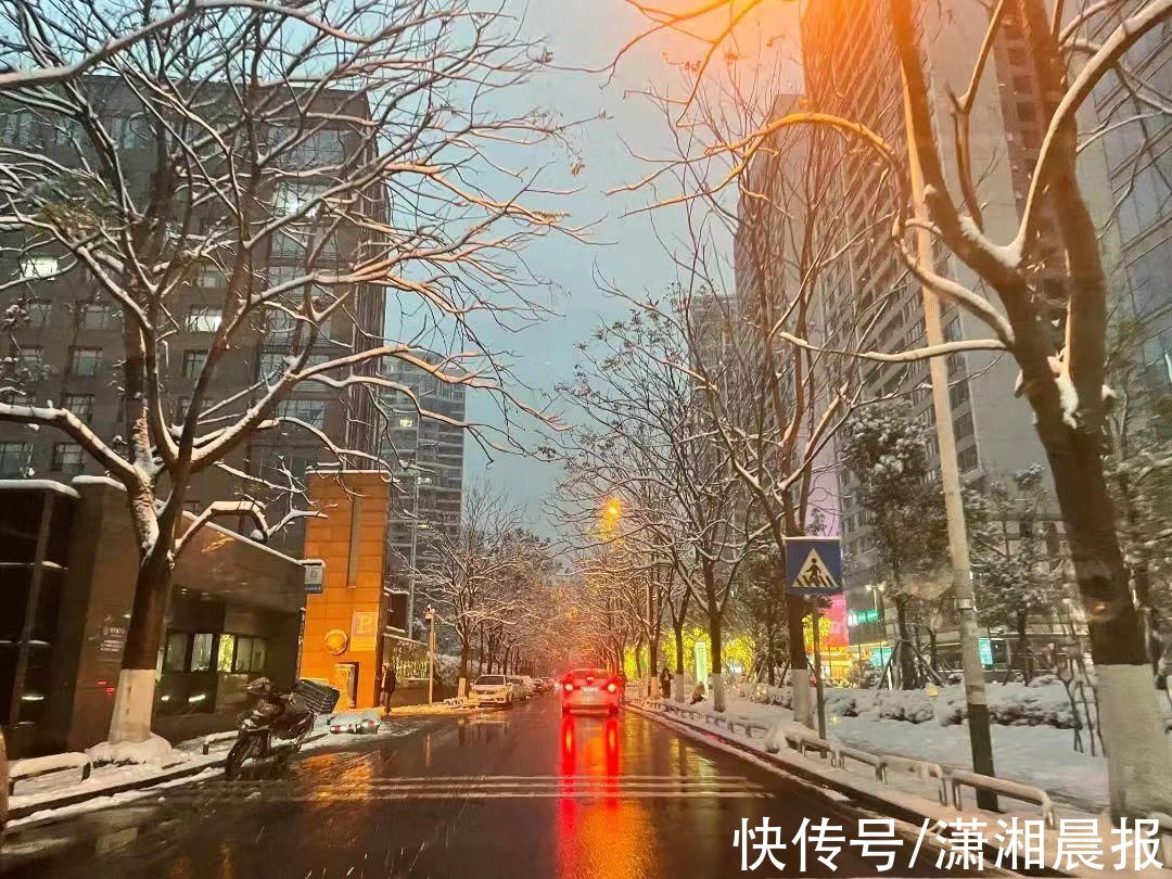 李蕾|组图｜雨花雪景还没赏够？看这里！惊艳nice“绝绝子”