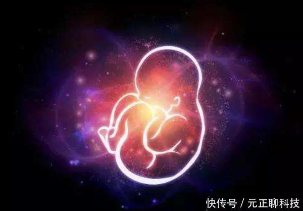 正经事|胎儿在妈妈肚子里除了睡,原来还有这么多“正经事”,一定要看看