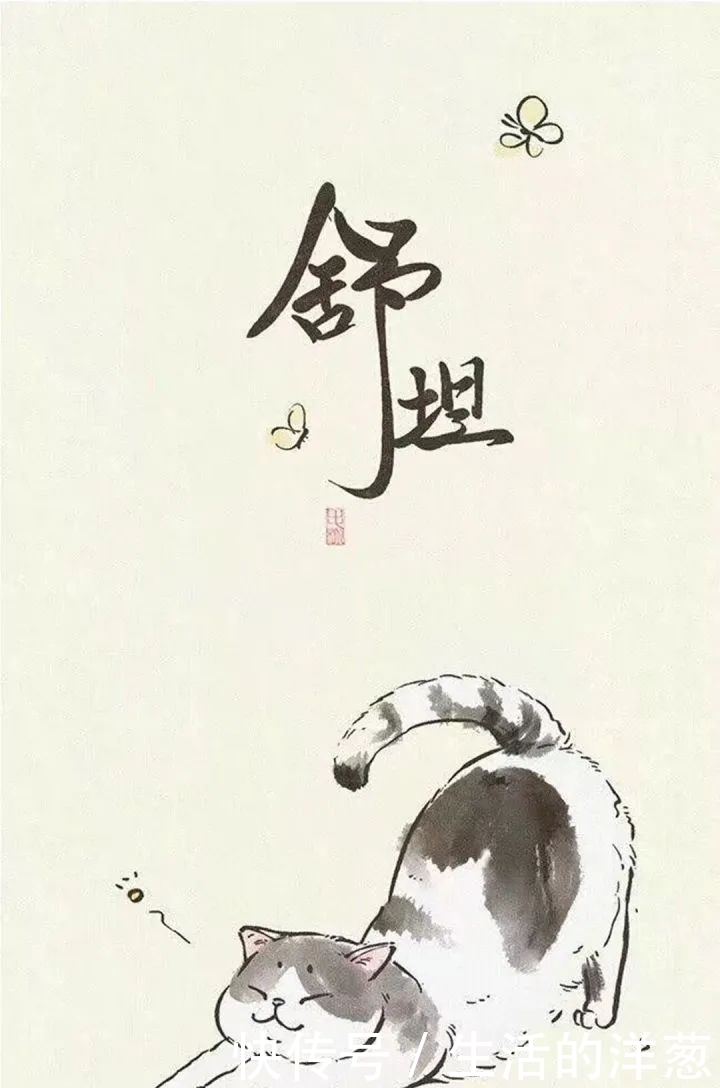 配不上|原来的壁纸已经配不上你的iPhone12了,快来换新的猫咪壁纸