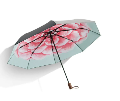 晴雨伞的选择艺术：既遮风又避雨的小巧思