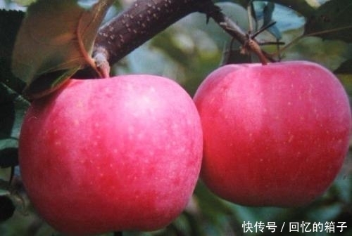 老太|女性不想老太快,常吃此果,雀斑没了,大肚子平了,越来越年轻