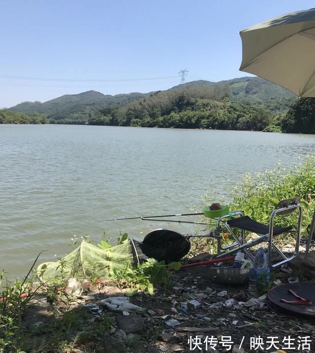 小鱼|如何判断窝里有没有鱼进窝有信号，这三种情况果断走人