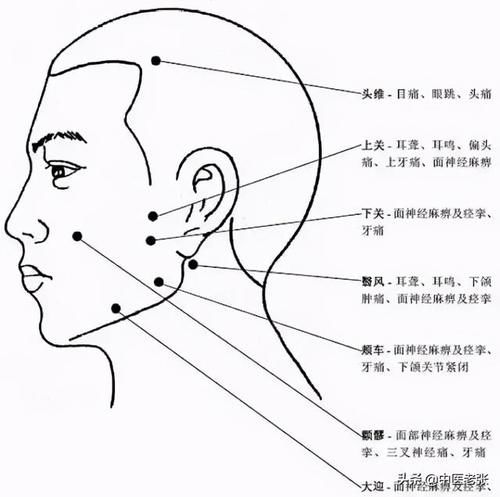 人体头部、面部、胸腹腰部、下肢、脚部常用穴位集锦大全，快收藏