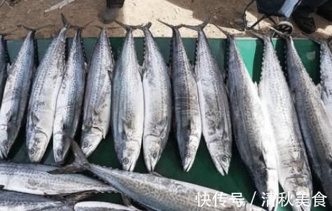 鲅鱼怎么做好吃？渔民教你这样做，鱼肉鲜香细嫩，没有腥味