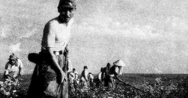 地区|二战时,日本侵略了那么多的国家,为什么不敢占领中国这一地区?