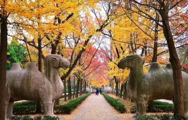 被盗掘&朱元璋沉睡孝陵600余年,为何无人能盗墓成功?专家:有两个原因