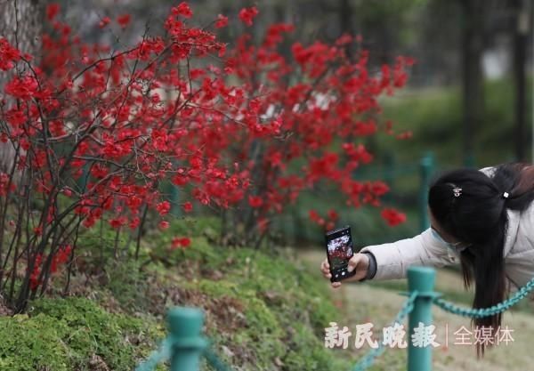 三月春风百花开