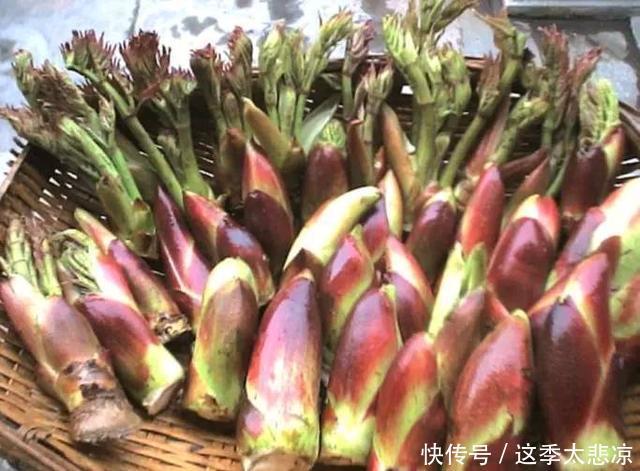 想长寿全靠吃,3种食物离不开,补气养血,有益健康