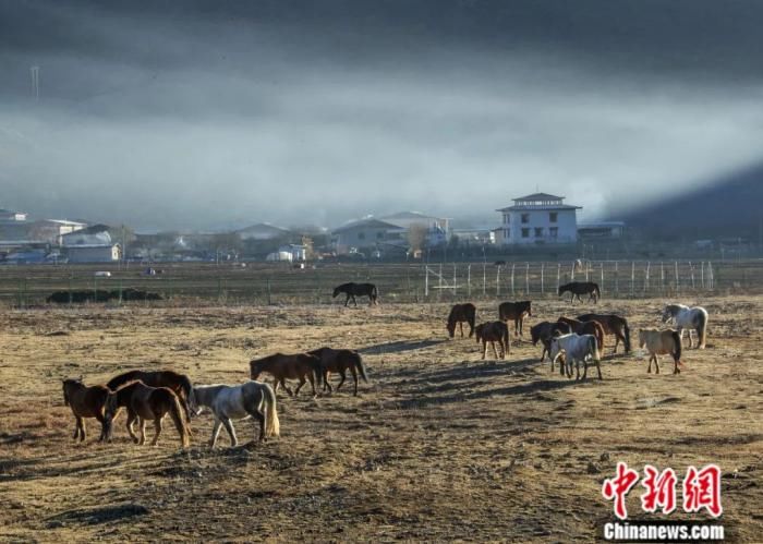 龙安志：西方社会对中国文明存在哪些误读？|东西问 | 中国文化