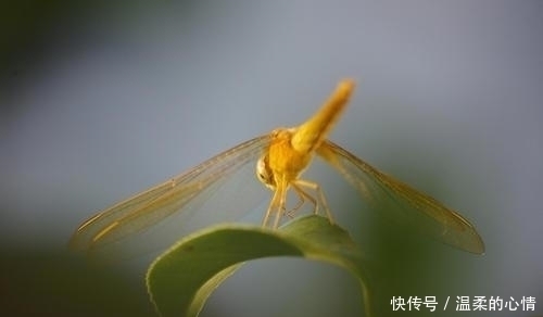 出息|孩子出生在几点钟，命好最有出息，孝顺父母，个个天资聪颖