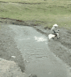 |搞笑GIF:对不起了兄弟,我不是故意的