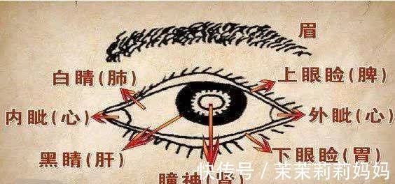 包包|孩子眼皮上长包,不痛不痒,一直消不下去?说明这里出了问题!