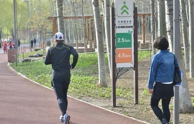 共性|寿命长的男性,往往有5个“共性”,若你如此,多少人羡慕不来