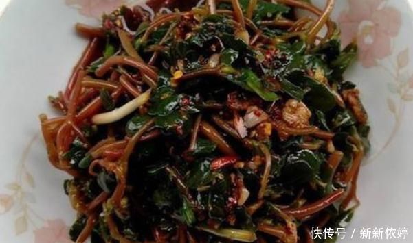 黑发|夏天常吃马齿笕身体好，外加一宝，还可以白发变黑发，好处多多