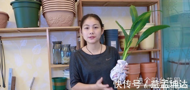 绿萝|家里不养一盆一叶兰太可惜了，好看如兰花，却比绿萝好养10倍！