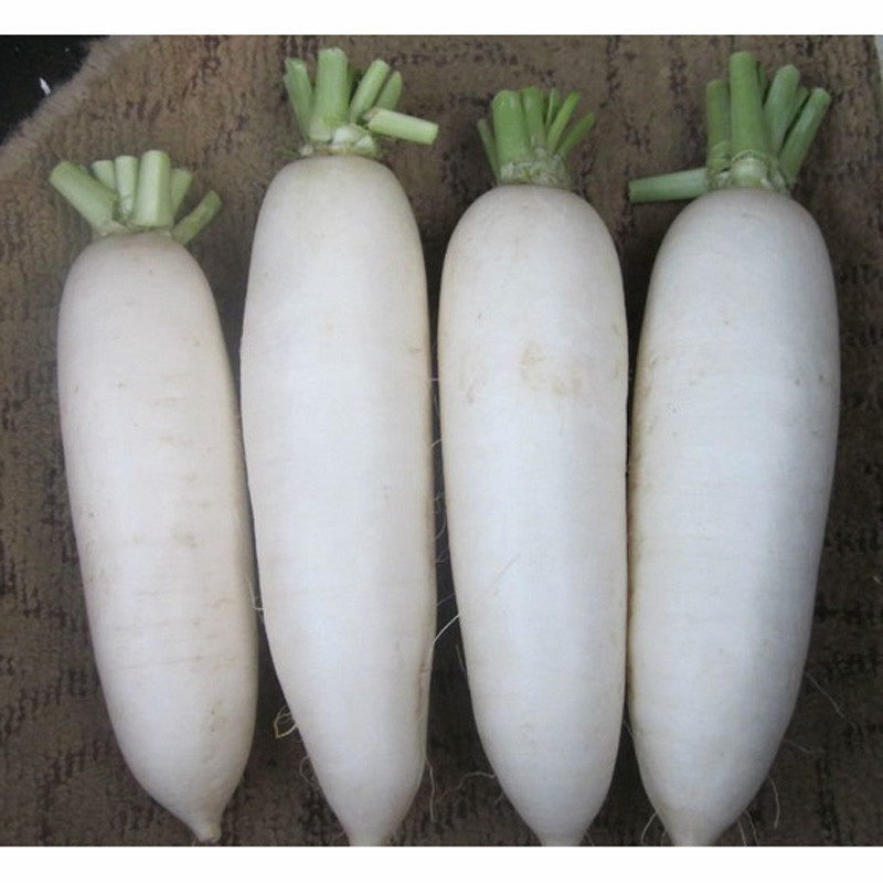 减肥|减肥时，常用5种“便宜”蔬菜，通便减脂，轻松甩开大肚腩