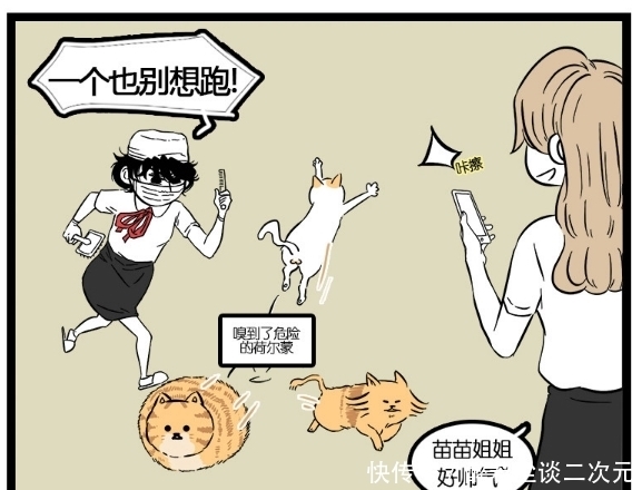 漫画|搞笑漫画：圆滚滚到了脱毛的季节，一场人猫追击战开始了！