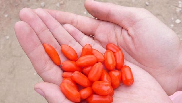 身体|枸杞和它“天生一对”,泡水喝,给肝肾“冲个澡”,气色也变好了