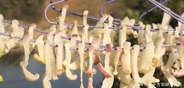 5道超下饭的自制腌菜,做法简单,无添加剂,存放1年都没问题