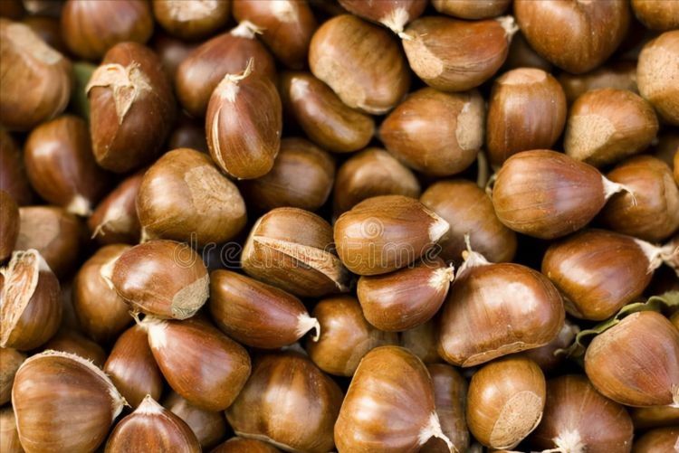 买栗子，挑个头大的还是小的？老农教你5招，皮薄肉多，个个清甜