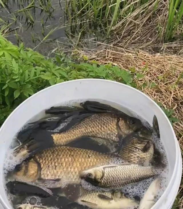 漂相很稳就是打不中鱼?解决起来挺简单,但要排除一个问题