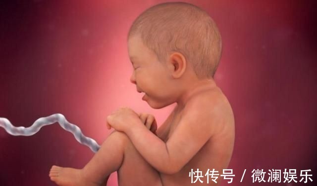 孕妈|组图了解胎儿在子宫中的生长过程,生命太奇妙了!准爸妈们看看