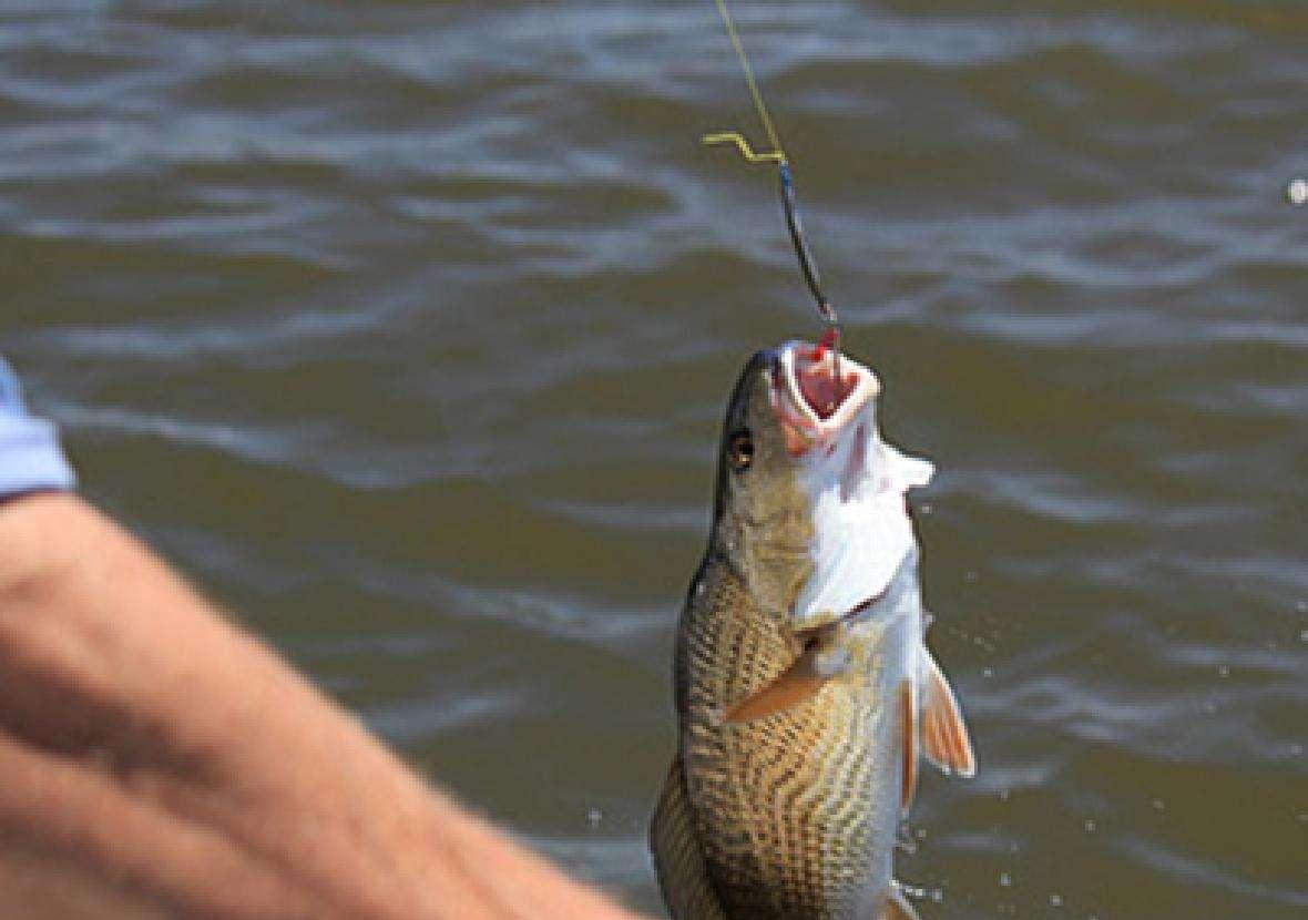 组装不同的铅坠,串钩也能玩出花来