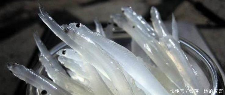 古代|中国四大名鱼,在古代都是皇帝的贡品,如今也是国宴必备佳肴!