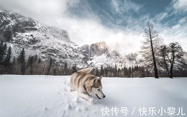 人性格|不合群，不怕孤独的星座，他们日子也许暂时窘迫，但早晚锋芒毕露