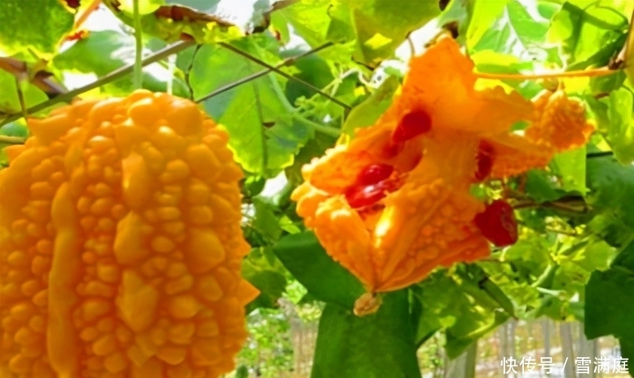 很有营养的3种食物,排毒养颜、滋润肌肤,早吃早受益!