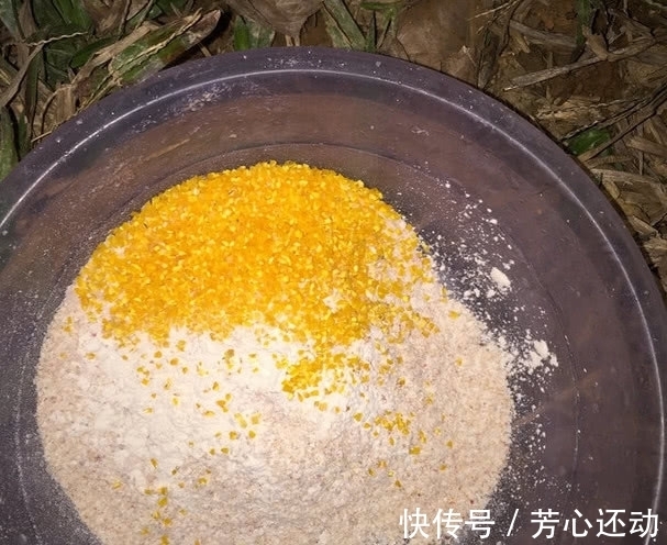 鱼情|同样的配方，别人爆护你空军？可能你求配方时忽略了这3个细节