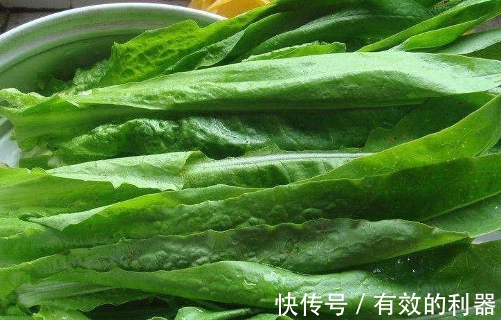 小白|原产自欧美的野菜,在国内被称“百菜之王”,吃它还能降胆固醇