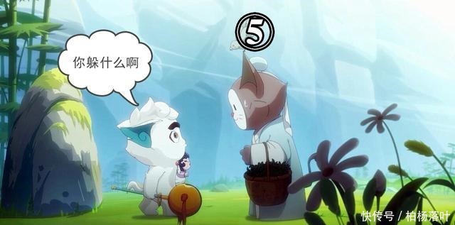 不光阴霾山谷有十二殇,云忧谷也有十二只猫,星罗班也在其中