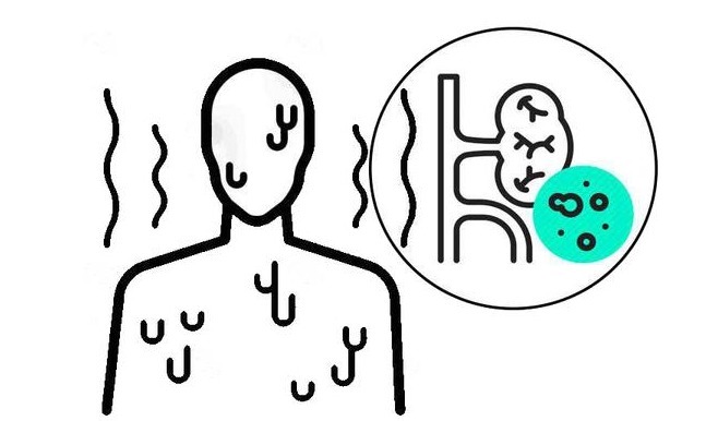 不良习惯|为什么肾衰竭越来越多?告诫:5个伤肾因素,大家注意避开