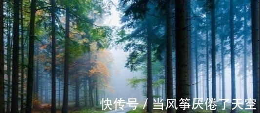 摩羯座|安静秀气的星座，意志力出众，遭遇困苦，依然谈笑风生，佩服