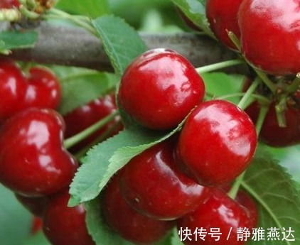 维生素c|女性不想变黄脸婆,要多吃几种食物,排毒养颜,美白祛斑,抗衰老