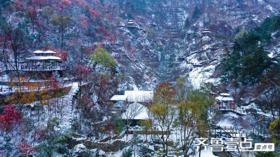 情报站|大雪节气，期盼一场大雪的到来