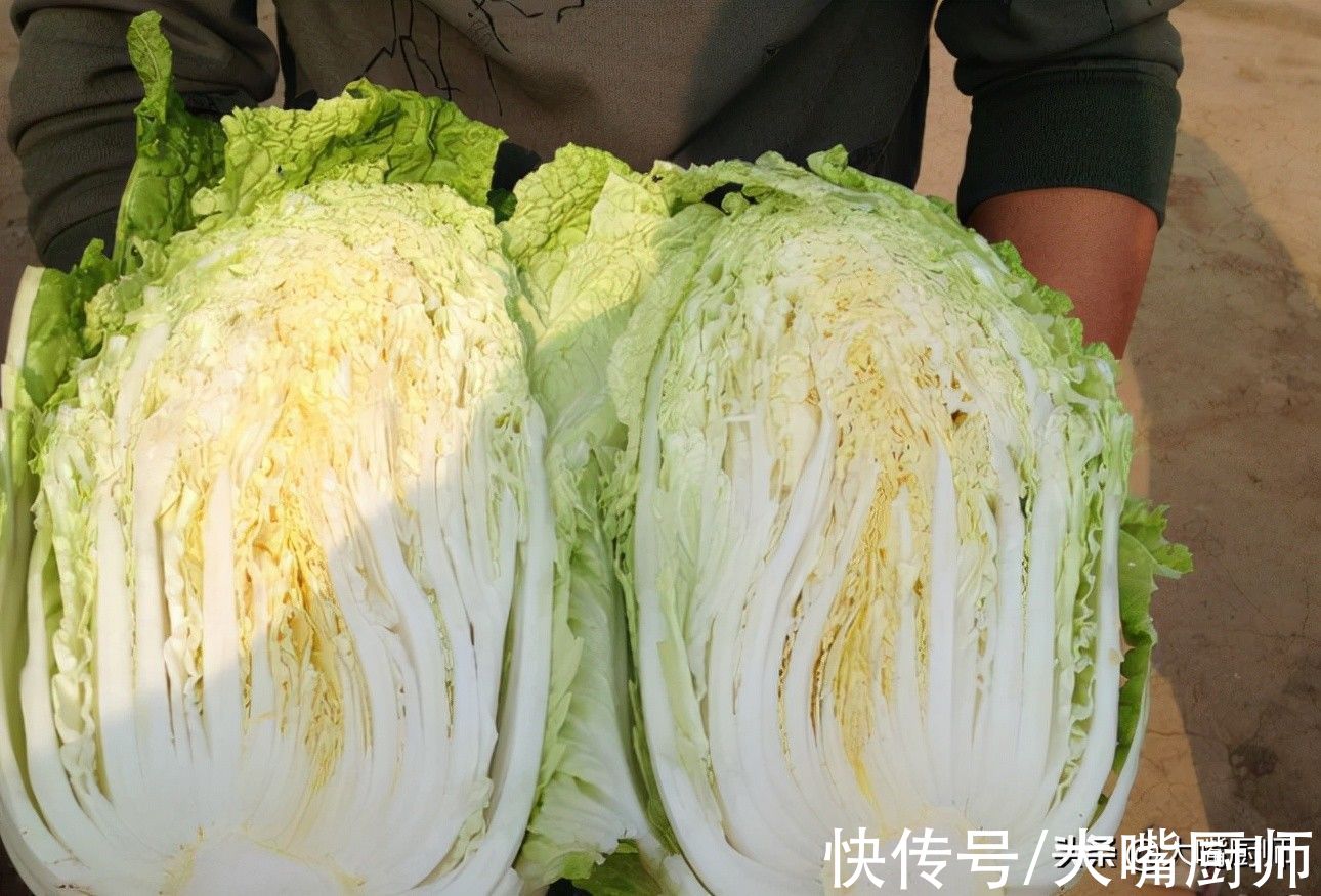 菜农|如何判断白菜有没有“喷甲醛”?菜农支招,牢记这3点,轻松避开