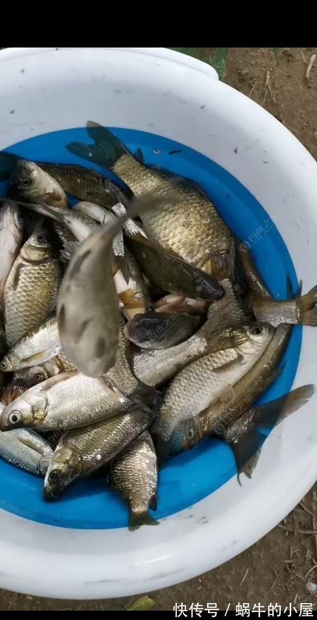 时节|秋季钓鲫鱼与天气的关系浅析