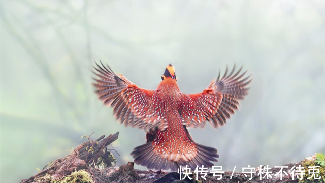 25个冷知识:虽然用到的机会不多,但是可以增加谈资的奇怪知识