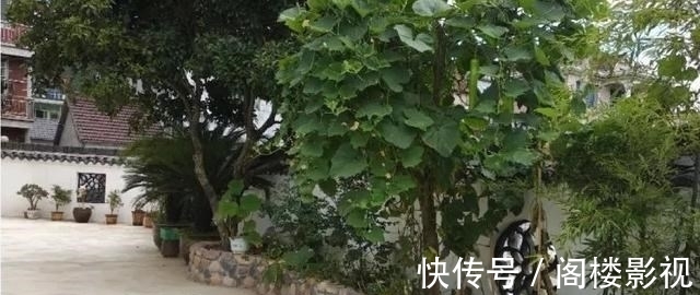 翻新|老宅翻新,用拆下来的红砖搭建4m高围墙,废旧瓦片铺地,结实耐看