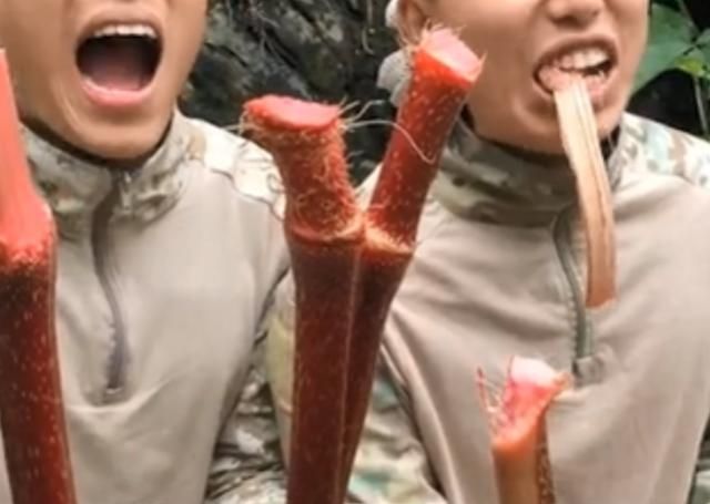 喜欢|这种水果味道比柠檬还要酸,但很多人喜欢吃,吃过的举手