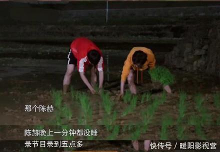 苹果|好吃懒做，伪装不懂英文却当过英语导游，陈赫为跑男背了多少锅？