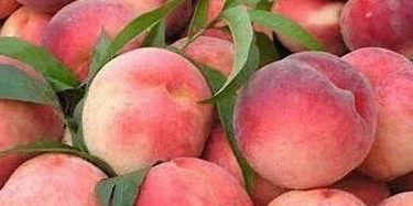 秋天|秋天来了，可以多吃3种食物，排毒养颜，滋润肌肤！