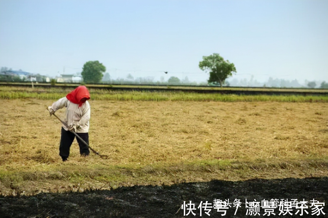 以前吃猪油多,为啥没有心脑血管疾病现在不吃了,病却多了