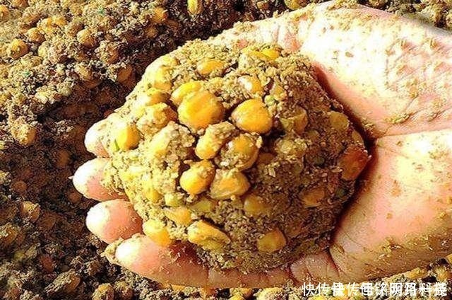 钓鱼警惕渔具“拾荒者”，小心再给你来个顺手牵羊！