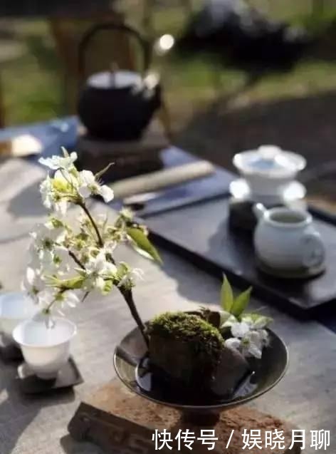 泡一壶茶, 与岁月共老。