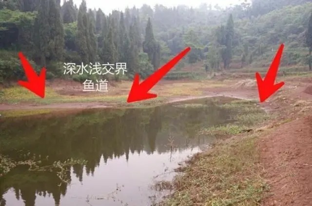 冬钓板鲫，一定常去这2个地方，藏鱼多